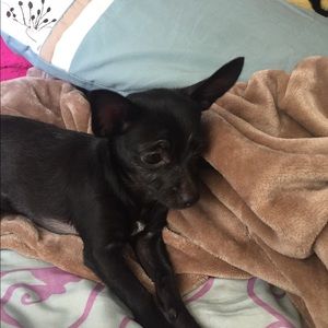 Meet your Posher, Brenda